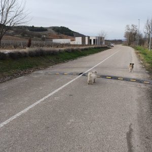 Nuevos badenes para mejorar la seguridad en la Entrada de la Fuente